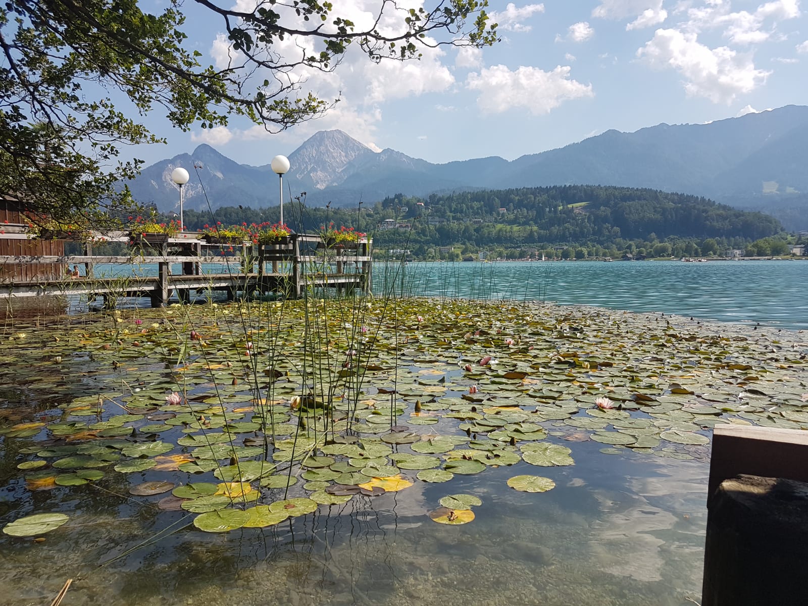 pirker treff20.08.01_00017