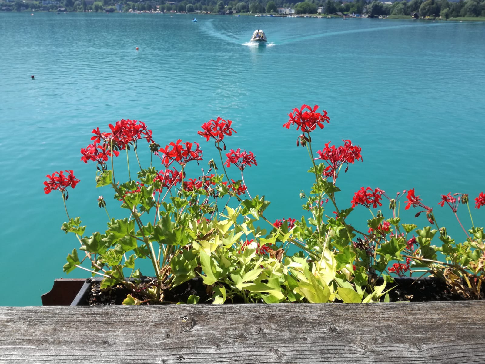 pirker treff20.08.01_00023